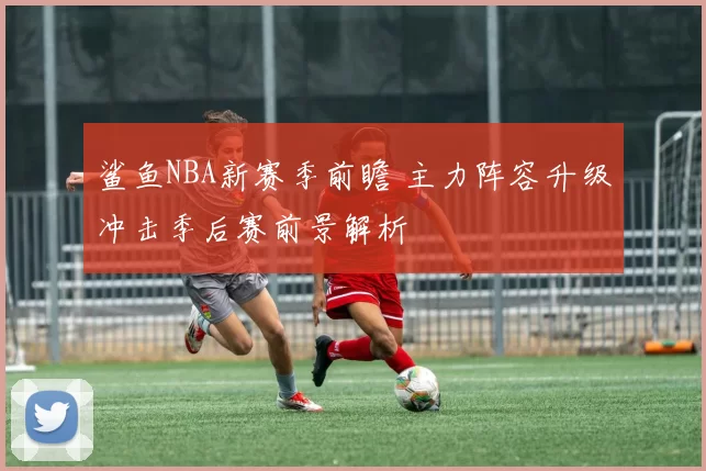 鲨鱼NBA新赛季前瞻 主力阵容升级冲击季后赛前景解析