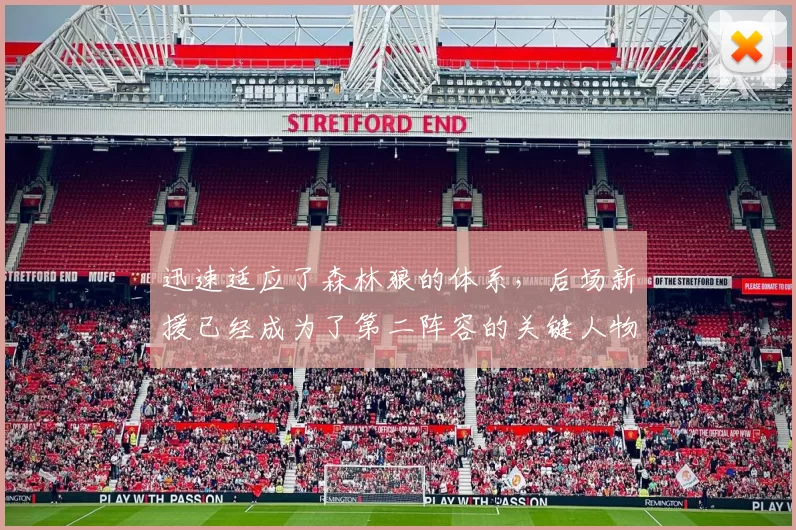 迅速适应了森林狼的体系，后场新援已经成为了第二阵容的关键人物