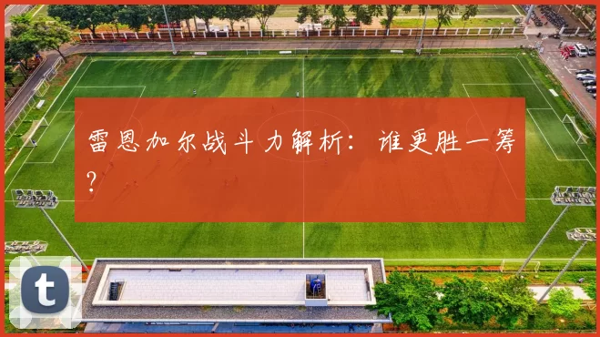 雷恩加尔战斗力解析:谁更胜一筹?