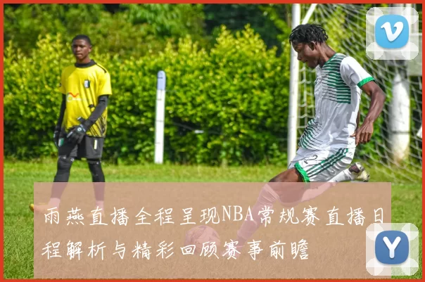雨燕直播全程呈现NBA常规赛直播日程解析与精彩回顾赛事前瞻