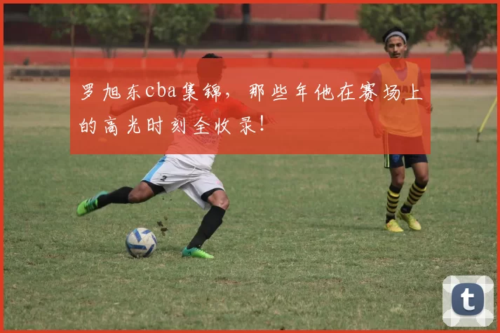 罗旭东cba集锦,那些年他在赛场上的高光时刻全收录!